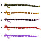 Ryuji Crazy Slug 8cm Silikon Yem G