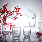 Echo Damla 6'lı Su Bardağı - 250 ml