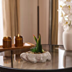 Beton Asimetrik Saksılı Yapay Kaktüs - Gri - 16x6x19 cm