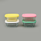 Glass 4 You 4'lü Kapaklı Cam Saklama Kabı - Renkli - 310 ml
