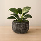 Boho Desenli Beton Saksı - Siyah - 14x12,5 cm