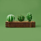 Mini Kasada Kaktüs - Kahverengi - 8x21 cm
