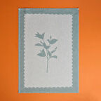 Soft Flower Kurulama Bezi - Yeşil - 40x60 cm