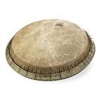 Remo 11'' Conga Derisi