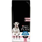 Pro Plan Large Athletic Sensitive Skin Somonlu 14 kg Yetişkin Köpek Maması