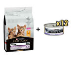 Pro Plan Kitten Tavuklu Yavru Kedi Maması 3 Kg + 12 Adet Proplan Junior Tavuk Etli Yavru Kedi Maması 85 Gr 