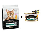 Pro Plan Tavuklu Yetişkin Kedi Maması 10 Kg+ 12 Adet Proplan Adult Tavuk Etli Yetişkin Kedi Konservesi 85 Gr 