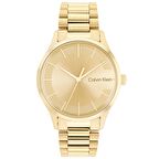 Calvin Klein CK25200038 Kadın Kol Saati