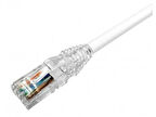 Commscope Npc06szdb-wt025c 25cm Cat 6 Beyaz Patch