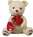 Anner Günü Özel: Çikolatalı "Canım ANNEM'e" Temalı Romantik Ayı