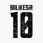 10 BALIKESİR Sticker Yapıştırma Oto Etiket 17cm
