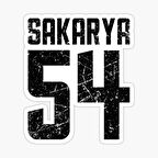 54 SAKARYA Sticker Yapıştırma Oto Etiket 17cm