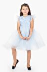 Roza Dantel Tütü Kız Çocuk Abiye Elbise MNK0546