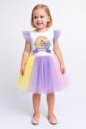 Rengarenk Etekli Kız Çocuk Parti Elbisesi