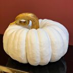 BÜYÜK BOY BAL KABAĞI-MO119-14