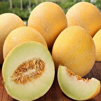 Geleneksel Ata Tohumları Yoğun Kokulu Toros Sarıbal Tohumu (20 tohum)