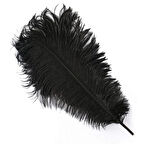 400 PCS DECOR VIP BLACK BIRD FEATHER 400 ADET SİYAH KUŞ TÜYÜ SİYAH ŞEFFAF BALON TÜYÜ SÜSLEME TÜYÜ