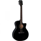 ESP LTD A-300E Siyah Elektro Akustik Gitar