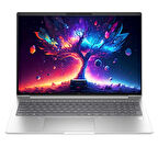HP EliteBook 660 G11 9C004EA09 Ultra7 155U 16GB 1TBSSD 16" FHD W11P Dizüstü Bilgisayar
