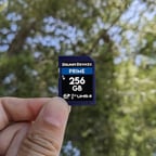 256 GB Prime SDXC