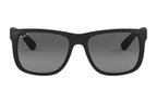 Ray-Ban Rb4165 Polarize 622/T3 Erkek Güneş Gözlüğü