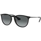Ray-Ban RB4171 622/T3 54 Polarize Unisex Güneş Gözlüğü