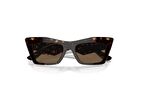 Dolce Gabbana 4435 502/73 53