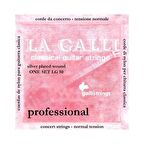 GALLİ KLASİK GİTAR TELİ