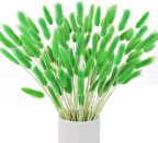 Kuru Çiçek Doğal ÇİMEN YEŞİL Pamuk Otu 10gram 1. Kalite Şoklanmış Bozulmaz