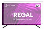 Regal 42" inç Tv Ekran Koruyucu