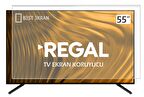 REGAL 55" inç 139 Cm Tv Ekran Koruyucu