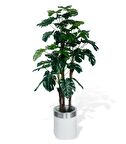 Yapay Çiçek Monstera Yeşil Deve Tabanı 3Katlı 135cm 54Yaprak Gümüş Kemerli Beyaz Saksıda Yapay Bitki