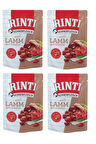 Rinti Pouch Kuzu Etli Köpek Yaş Mama 400 Gr. X 4 Adet