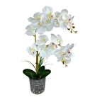 Yapay Çiçek 2li Beyaz Islak Orkide Seramik Saksıda Orkide 60cm