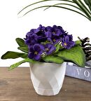 Yapay Çiçek Beyaz Saksıda Kadife Menekşe Gerçekçi Doku MOR