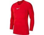 Nike AV2609-657 M Nk Dry Park 1Stlyr Jsy Ls Erkek T-Shirt