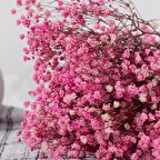 Kuru Çiçek Doğal PEMBE Cipso 50gram 1. Kalite Şoklanmış Bozulmaz