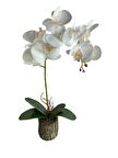 Yapay Çiçek Kütük Saksılı Tekdal Islak Orkide Beyaz 50*30cm