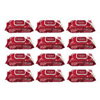 Flodex Islak Mendil Dream Garden 90 lı x 12 Adet