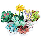 BLX Sukulent Çiçek Buketi 8842