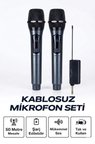 Profesyonel Çiftli Kablosuz Mikrofon Seti Karaoke Şarj Edilebilir 50 Metre