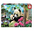 Educa Hayvanlar 1000 Parça Yetişkin Puzzle