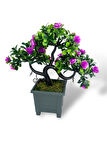 Yapay Çiçek Lila Çiçekli Bonsai Ağacı Dekoratif Yapay Ağaç Bonzai 29*24 CM Siyah Kare Saksıda
