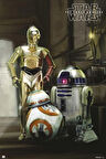 STAR WARS DROIDS  MAXI POSTER (İTHAL)