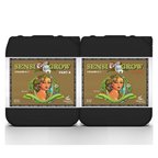 Advanced Nutrients Sensi Coco Bloom A+B 5 Litre