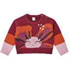 Kız Çocuk Kazak 11379197