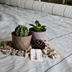 1x40 BEYAZ SULZER KUMAŞ SERA TABAN ÖRTÜSÜ JÜT BLUEBERRY PEYZAJ UYGULAMA ÖRTÜSÜ MULCH NAYLONU ÇİLEK MALÇ