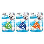 AFP Üç Köşeli Dairesel Dental Kemik 12,5x12x3 cm