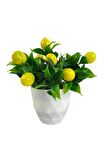Yapay Çiçek Beyaz Saksıda Limon Dekoratif Masa Çiçeği 25cm