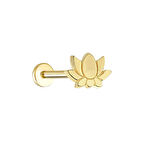 Detaylı Lotus Tragus